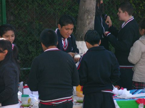muestrgastmat2006 012.jpg