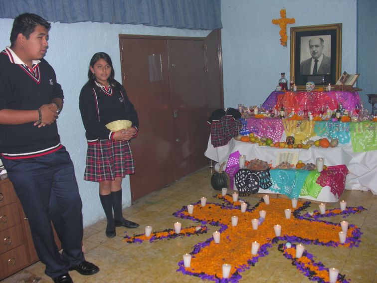 Ir a la Siguiente Foto