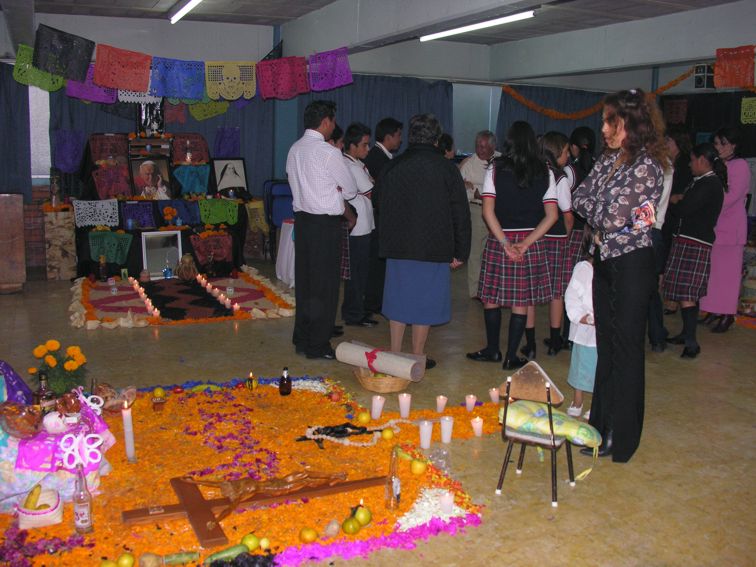 Ir a la Siguiente Foto