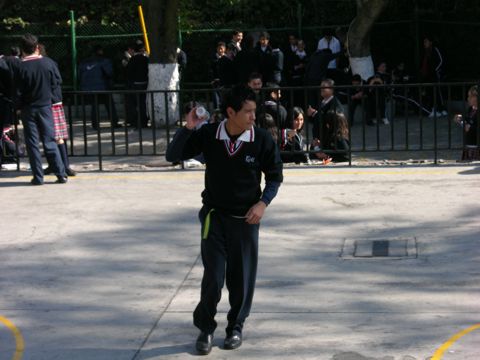 Ir a la Siguiente Foto