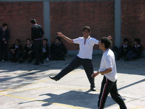 Ir a la Siguiente Foto
