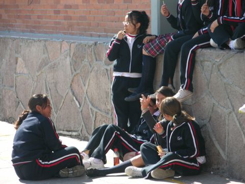 Ir a la Siguiente Foto