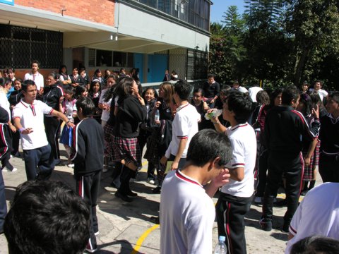 Ir a la Siguiente Foto