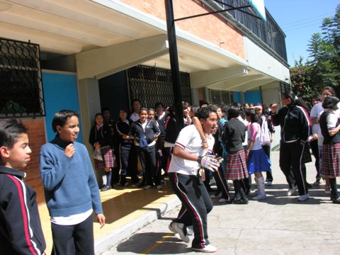Ir a la Siguiente Foto
