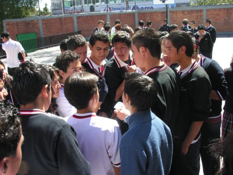 Ir a la Siguiente Foto