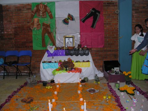 Ir a la Siguiente Foto