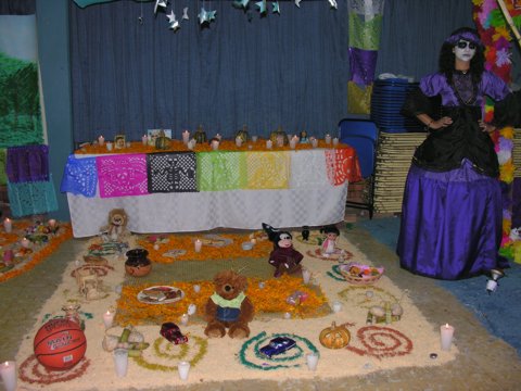Ir a la Siguiente Foto