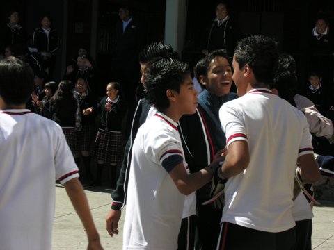 Ir a la Siguiente Foto