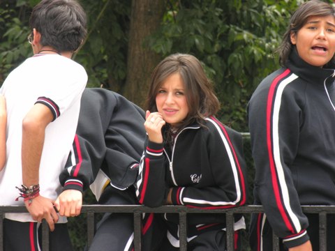 Ir a la Siguiente Foto