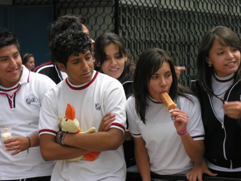 Ir a la Siguiente Foto