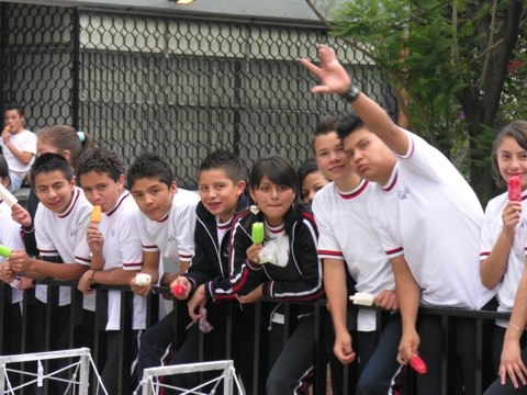 Ir a la Siguiente Foto