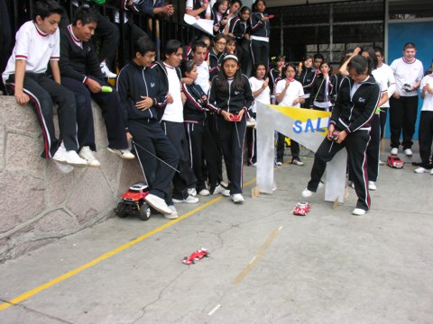 Ir a la Siguiente Foto