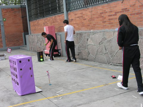 Ir a la Siguiente Foto