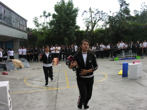 Ir a la Siguiente Foto