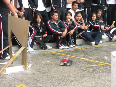 Ir a la Siguiente Foto