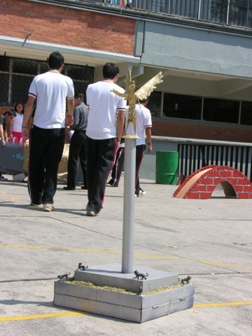 Ir a la Siguiente Foto