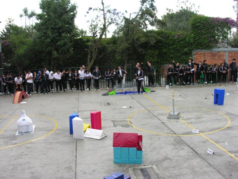Ir a la Siguiente Foto