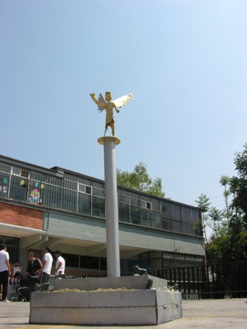 Ir a la Siguiente Foto