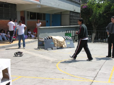 Ir a la Siguiente Foto