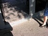 examav2009009.jpg