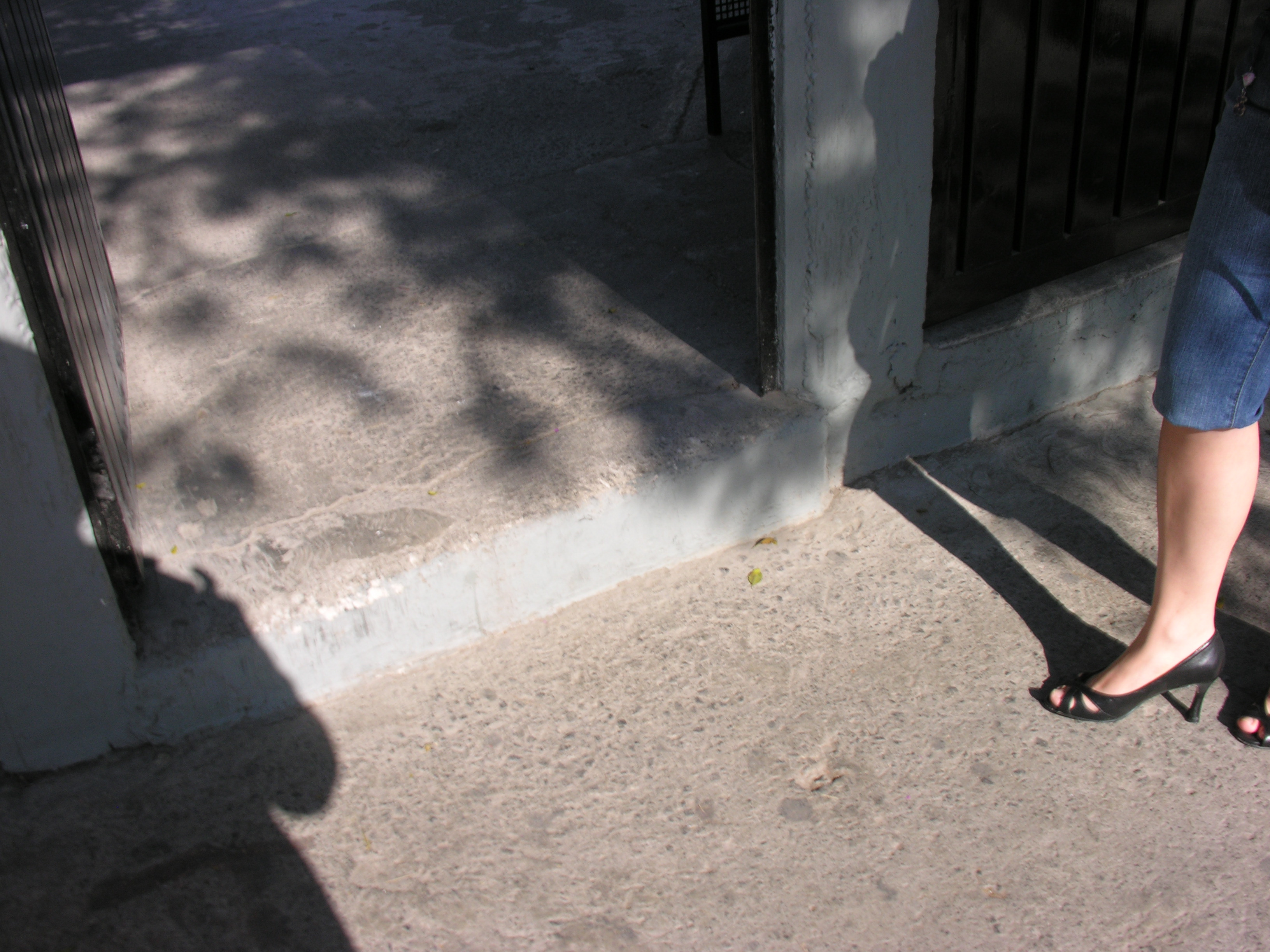 examav2009 009.jpg