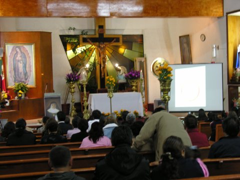 Ir a la Siguiente Foto