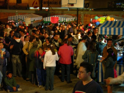Ir a la Siguiente Foto