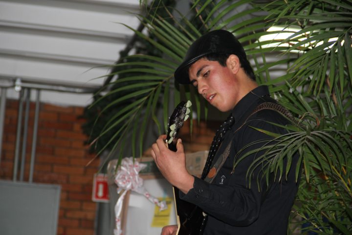 Ir a la Siguiente Foto