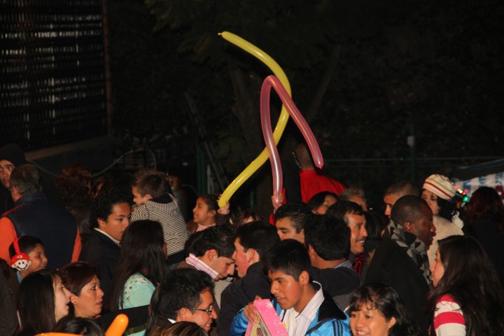 Ir a la Siguiente Foto