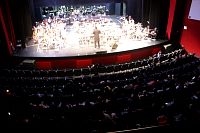 concierto_orquesta_angelmatute2018240.jpg