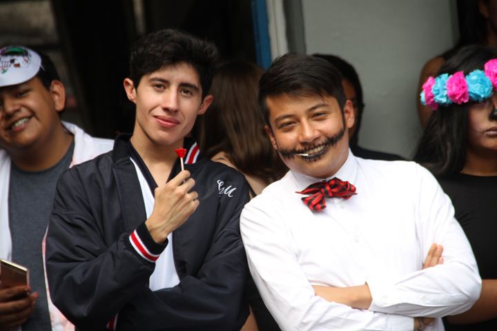 Ir a la Siguiente Foto