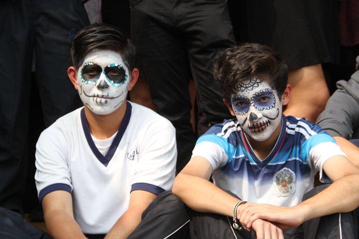 Ir a la Siguiente Foto