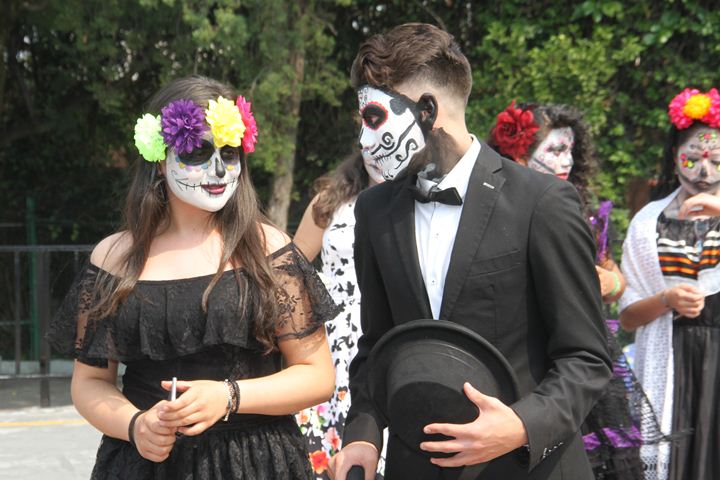 Ir a la Siguiente Foto