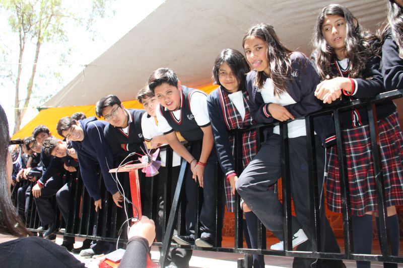 Ir a la Siguiente Foto