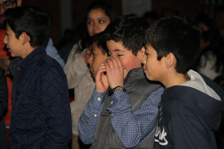 Ir a la Siguiente Foto