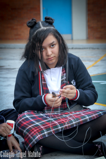 Ir a la Siguiente Foto
