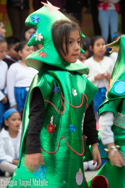 Festejo de Navidad