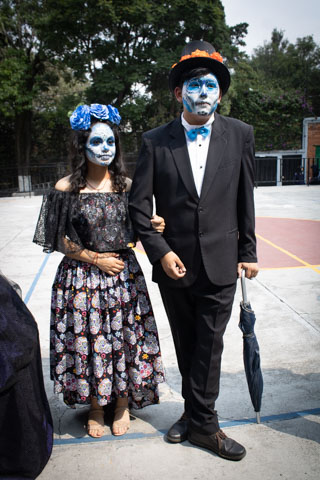 Ir a la Siguiente Foto