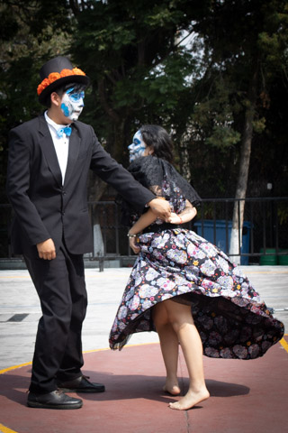 Ir a la Siguiente Foto