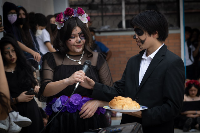 Ir a la Siguiente Foto