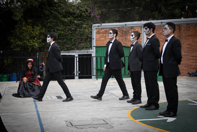 Ir a la Siguiente Foto