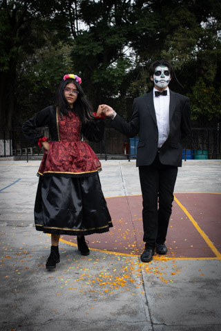 Ir a la Siguiente Foto