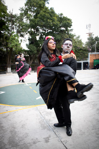 Ir a la Siguiente Foto