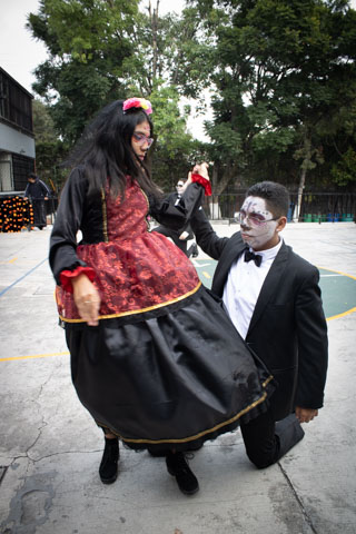 Ir a la Siguiente Foto