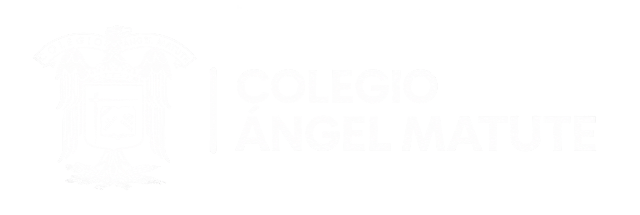 Colegio Angel Matute
